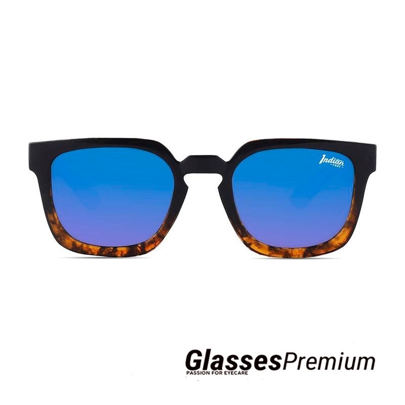 Las gafas polarizadas de moda ▷ Tarifa Tortoise / Blue ▷The Indian Face   