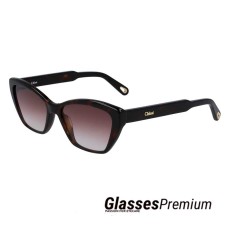 Gafas de Sol chica negras  CHLOE-CE760S-5416-219